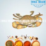 Mud-Crab-Medium-2
