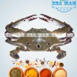 Sea-Crab-1